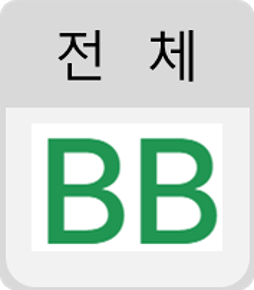 2023 자산규모 5천억 미만 전체 BB
